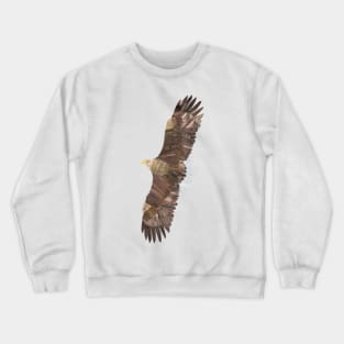 Eagle Crewneck Sweatshirt